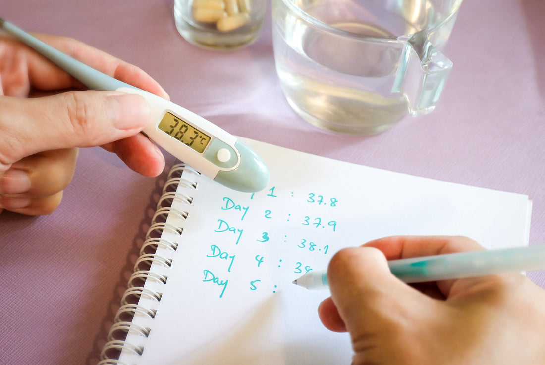 How To Track Basal Body Temperature - My Expert Midwife